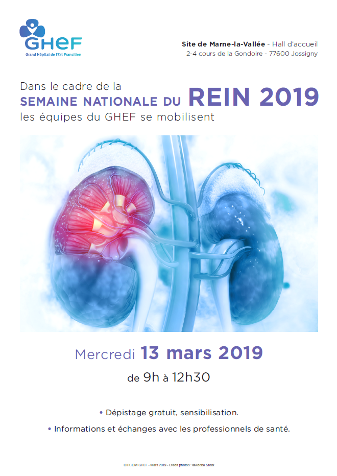 Rein_Nephrologie_GHEF_Marne_la_Vallee