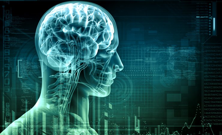 Medecine Physique Et De Readaptation Mpr Grand Hopital De L Est Francilien