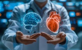 cardiologie, oncologie, chirurgie vasculaire thoracique, GHEF, seine-et-marne 